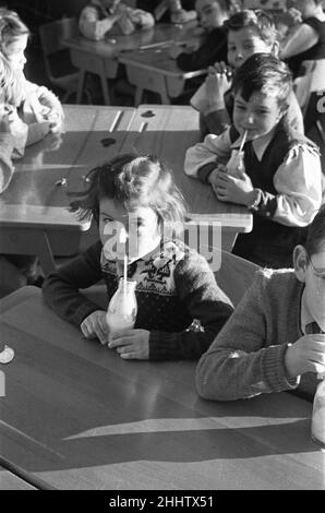 Pupils at South Mead School, Southfield, Wimbledon having their morning milk before play time.. 14th January 1954 Stock Photo