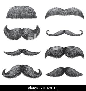 Different styles of male realistic mustaches set Stock Vector