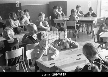 Pupils at South Mead School, Southfield, Wimbledon having their morning milk before play time.. 14th January 1954 Stock Photo