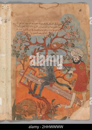 "The Monkey Tries Carpentry", Folio from a Kalila wa Dimna second quarter 16th century This manuscript contains seventy-eight paintings and many text folios telling the famous tales of the jackals Kalila and Dimna. Based on the book of ancient Indian animal fables, the Panchatantra written by Vidyapati (Bidpai), the stories spread all over the Middle East where they became wildly popular. This manuscript has a strong flavor of Mamluk Egypt in the figure styles and bold drawings, with hints of Ottoman tulips and Safavid turbans. However, the burnt orange palette and darkly-inked lines have led Stock Photo