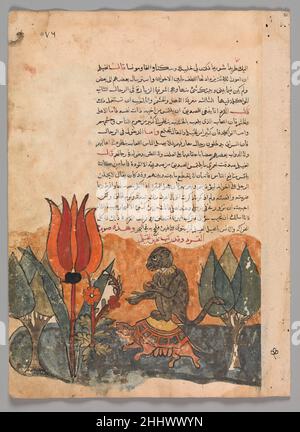 "The Tortoise Ferries the Monkey", Folio from a Kalila wa Dimna second quarter 16th century This manuscript contains seventy-eight paintings and many text folios telling the famous tales of the jackals Kalila and Dimna. Based on the book of ancient Indian animal fables, the Panchatantra written by Vidyapati (Bidpai), the stories spread all over the Middle East where they became wildly popular. This manuscript has a strong flavor of Mamluk Egypt in the figure styles and bold drawings, with hints of Ottoman tulips and Safavid turbans. However, the burnt orange palette and darkly-inked lines have Stock Photo