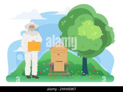 Beekeeping apiculture, farm apiary work in village vector illustration. Cartoon elderly beekeeper villager holding honeycomb to collect honey, apiaris Stock Vector