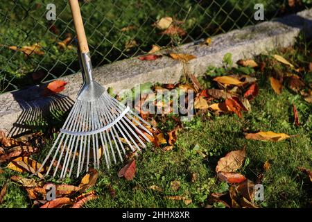 leaf rake in evening sun on the fence Stock Photo