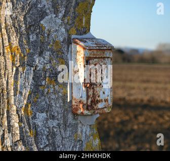Close-up of rusty mailbox on tree trunk trunk covered by white and yellow spots on a rural background Stock Photo