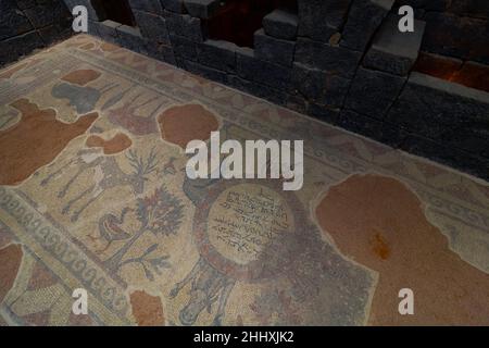 Sanliurfa Turkey - 8.16.2021: Mosaics in Haleplibahce Mosaic Museum in Sanliurfa. Ancient Roman and Greek mosaics. Museums of Turkey Stock Photo