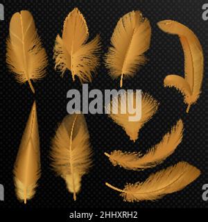 Realistic luxury golden tribal feathers set isolated on black Stock Vector