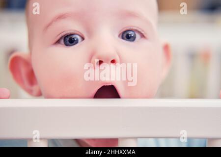 Baby gnaws at the edge crib during teething itching. Funny child scratching his teeth on the rail bed, age six months Stock Photo