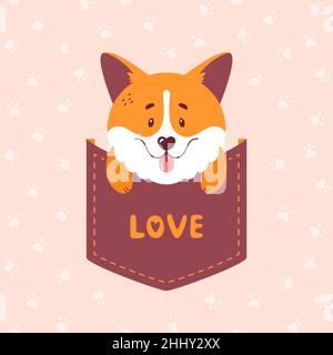 Corgi sitting inside the pocket - cute vector illustration. Welsh corgi puppy print for card or t-shirt design. Stock Vector