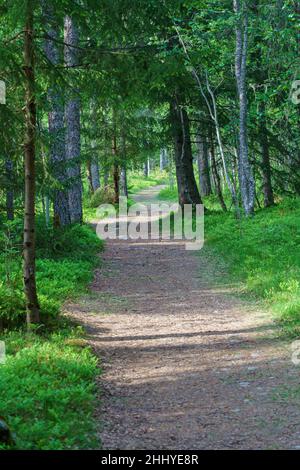 VALLDAL, NORWAY - 2020 JUNE 03. Beautiful walking trials in the nature. Stock Photo