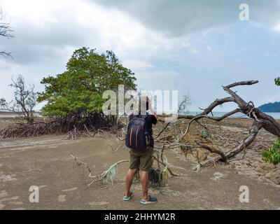 Man photographer taking picture of dead, withered tree, by stand up in mud of mangrove forest in tropical mangrove forest during low tide period, Enda Stock Photo