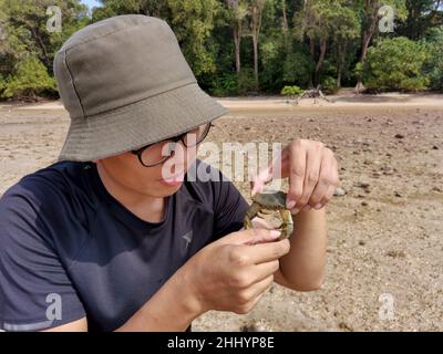 Happy asian male traveler caught and holds blue swimmer crab in hand on the beach with forest background. Wildlife, Adventure travel concept. Endau, M Stock Photo