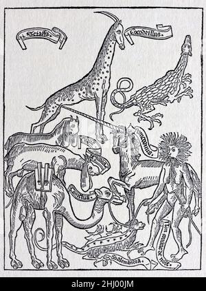 Fantastic Beasts, Fabulous Creatures and Mythical Animals, including a Unicorn, supposedly witnessed by Bernhard von Breidenbach (1440-1497) on his Travels to the Holy Land in 1483-84. Woodcut published in Peregrinatio in Terrum Sanctam (1486). Vintage Woodcut Print, Engraving or Illustration