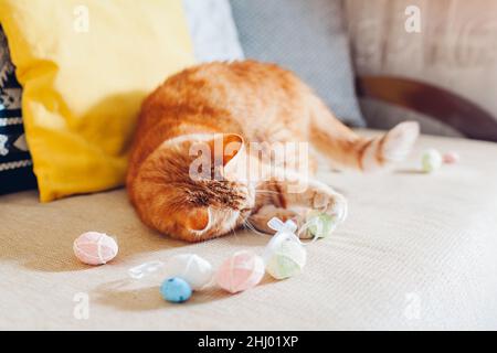 Ginger cat playing with Easter eggs at home. Pet having fun on couch. Spring holiday symbol. Funny curious animal relaxing Stock Photo