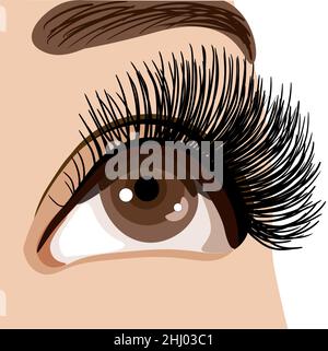 realistic eye isolated on the white background, vector illustration Stock Vector