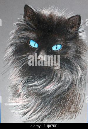 A portrait of a beautiful long-haired black cat with blue eyes. Pastel drawing. Stock Photo