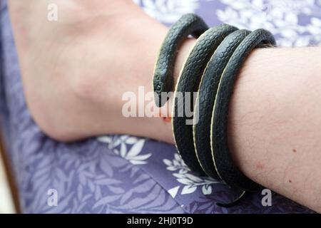 A black venomous snake strongly wrapped around a man leg concept of an attack indoors. Stock Photo