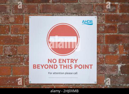 No Entry sign on a pig farm as part of their Bio-Security program to help prevent disease. Stock Photo