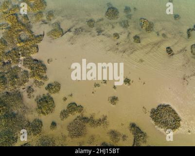 Aerial view of Salt Marshes, Plants and Sand structures in Normandy, Calvados, Manche, France, Europe Stock Photo