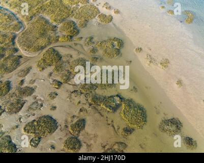 Aerial view of Salt Marsh, Plants and Sand structures in Normandy, Calvados, Manche, France, Europe Stock Photo