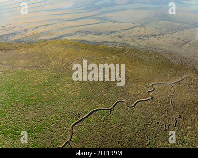 Aerial view of Salt Marshes, Plants and Sand structures in Normandy, Calvados, Manche, France, Europe Stock Photo