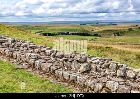 Hadrians Wall at Caw Gap, Shield on the Wall, Northumberland UK Stock Photo