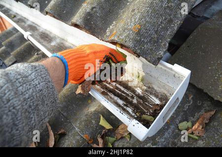 Rain Gutter Cleaning from Leaves in Autumn with hand.  Roof Gutter Cleaning Tips. Clean Your Gutters Before They Clean Out Your Wallet. Step by Step. Stock Photo