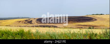 Wheat harvest burned in the fire. Natural disaster caused by heat - climate change. Stock Photo