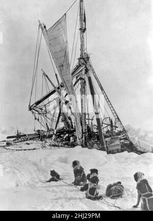 Imperial Trans-Antarctic Expedition, Sled Dogs, 1915 Stock Photo - Alamy