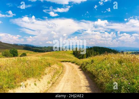 path through grassy fields. rural landscape with rolling hills and pastures in summer. trees and forest on the slopes. white fluffy clouds on the blue Stock Photo