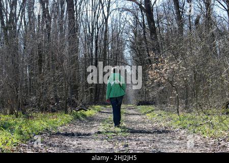 A woman walks along a forest road. Spring forest. Stock Photo