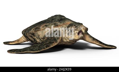 Prehistoric Sea Turtle - Archelon Stock Photo