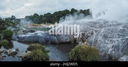 Active geothermal field, Whakarewarewa Thermal Valley, Rotorua, New Zealand Stock Photo