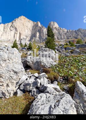 Mountain landscape, Catinaccio, Dolomites, Trentino, South Tyrol, Italy Stock Photo