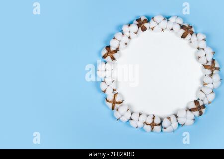 Round white frame of cotton flowers on light blue background with copy space Stock Photo