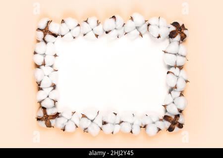 White Rectangle with frame of cotton flowers on beige background Stock Photo