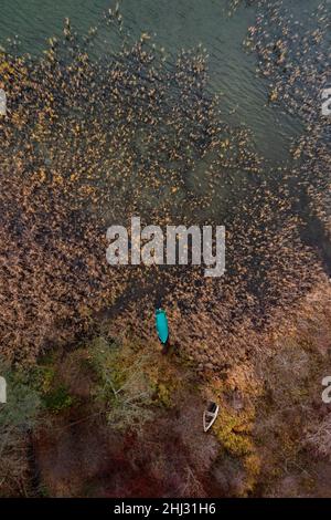 Drone shot, fishing boats in the reed belt on the shore of the Irrsee, from above, Salzkammergut, Upper Austria, Austria Stock Photo