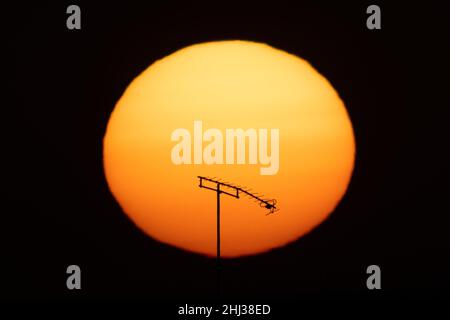 Zamora, Spain. 26th Jan, 2022. Analogue television reception antenna on a rooftop silhouetted against a setting sun in Zamora, Spain, on January 26, 2022. (Credit Image: © Manuel Balles/ZUMA Press Wire) Stock Photo