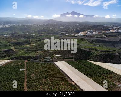 Aerial view banana tree plantation ad top of mount Teide on Tenerife near Garachico, Canary islands, Spain in winter Stock Photo