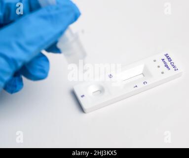 Man makes a covid-19 antigen pcr test macro. The test showed a positive result. Stock Photo