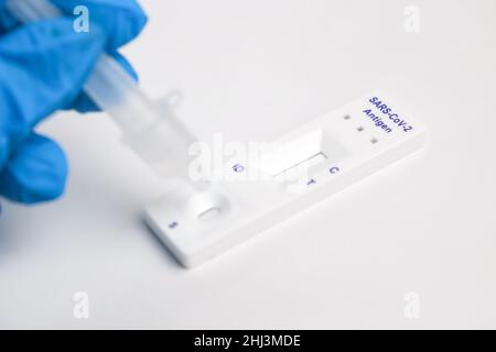 Man makes a covid-19 antigen pcr test macro. The test showed a positive result. Stock Photo