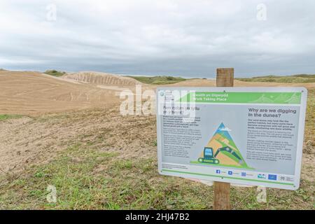 Coastal sand dunes recently scraped clear of vegetation by the Sands of Life project to boost wildlife and plant diversity, Merthyr Mawr Warren NNR, G Stock Photo