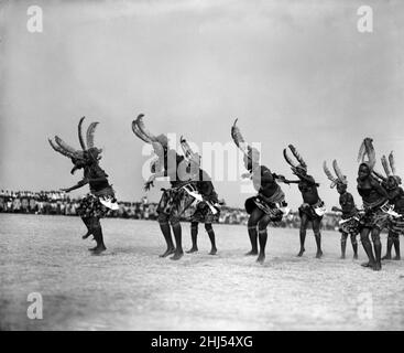 Nigerian women, wearing feathered headdresses and traditional costumes, perform at Enugu Stadium for Queen Elizabeth II and The Duke of Edinburgh during their tour of Nigeria. The dancers are performing in the Igbakwu dance, they are from Orlu, Owerri province. 7th February 1956. Stock Photo