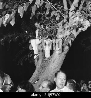 1956 Venice Film Festival, Italy, Sunday 2nd September 1956. Our picture shows ... Photographer hopes for birds eye view of proceedings during cocktail party hosted by Oscar winning Italian actress Anna Magnani at the Golf Club Lido di Venezia. Stock Photo