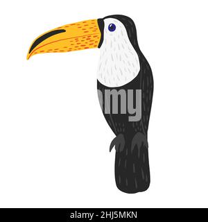 Toucan sits isolated on white background. Cute character from tropic. Exotic bird life in jungle. Doodle vector illustration. Stock Vector