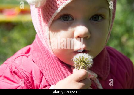 Surprised child with open mouth before blowing on dandelion in summer park Stock Photo