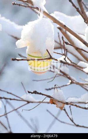beautiful easter eggs on a tree branch outdoors Stock Photo