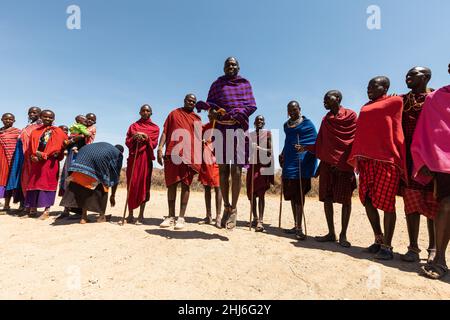 AMBOSELI NATIONAL PARK - SEPTEMBER 17, 2018: Young Maasai man demonstrate his strength by performing a traditional masai mating dance Stock Photo