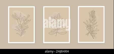 Bohemian olive branch vector. Olives with leaves in a linear style. Boho Logo nature, field plants illustration for wall art Stock Vector