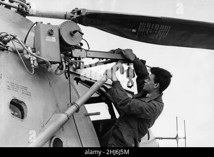 RAF ground crew member T Walton seen here checks the winch on a RAF Bristol Sycamore HR13 helicopter after landing. 11th November 1957 Stock Photo