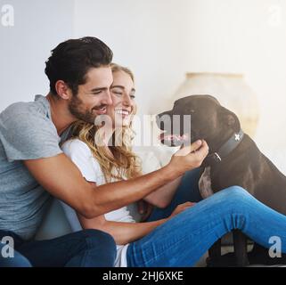 Hanging with their home-dog. Shot of a young couple relaxing at home with their dog. Stock Photo